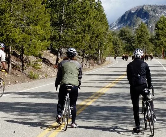 Group ride in West Yellowstone 